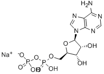 Adenosine5’-diphosphate,monosodiumsaltdihydrate Structure,1172-42-5Structure