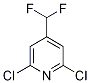 2,6-Dichloro-4-difluoromethylpyridine Structure,1201675-01-5Structure