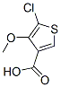 5-Chloro-4-methoxythiophene-3-carboxylic acid Structure,133659-14-0Structure