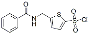 5-[(Benzoylamino)methyl]thiophene-2-sulfonyl chloride Structure,138872-44-3Structure