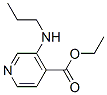 4-Pyridinecarboxylicacid,3-(propylamino)-,ethylester(9ci) Structure,151323-47-6Structure