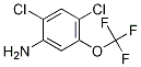 2,4-Dichloro-5-(trifluoromethoxy)aniline Structure,1598-42-1Structure