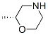 (R)-2-Methylmorpholine Structure,168038-14-0Structure