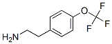 4-(Trifluoromethoxy)phenylethyl amine Structure,170015-99-3Structure