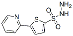 5-(2-Pyridyl)thiophene-2-sulfonohydrazide Structure,175202-74-1Structure