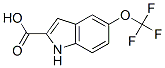 5-(Trifluoromethoxy)indole-2-carboxylic acid Structure,175203-84-6Structure