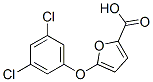 5-(3,5-Dichlorophenoxy)-2-furoic acid Structure,175277-06-2Structure