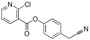 4-(Cyanomethyl)phenyl 2-chloronicotinate Structure,219930-05-9Structure