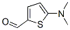 5-(dimethylamino)thiophene-2-carbaldehyde Structure,24372-46-1Structure