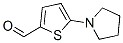 5-(1-Pyrrolidinyl)-2-thiophenecarbaldehyde Structure,24372-47-2Structure