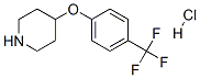 4-[4-(trifluoromethyl)phenoxy]piperidine hydrochloride Structure,287952-09-4Structure