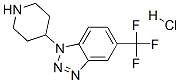 1-Piperidin-4-yl-5-(trifluoromethyl)-1H-1,2,3-benzotriazole hydrochloride Structure,306935-37-5Structure