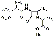 [6R-[6α,7β(r*)]]-7-[(aminophenylacetyl)amino]-3-methylene-8-oxo-5-thia-1-azabicyclo[4.2.0]octane-2-carboxylic acid sodium salt Structure,37050-97-8Structure