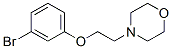 4-[2-(3-Bromophenoxy)ethyl]morpholine Structure,435283-95-7Structure