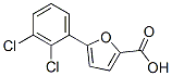 5-(2,3-Dichlorophenyl)-2-furoic acid Structure,55462-54-9Structure