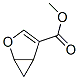 Methyl 2-oxabicyclo[3.1.0]hex-3-ene-4-carboxylate Structure,56666-81-0Structure