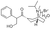 Ipratropium bromide Structure,66985-17-9Structure