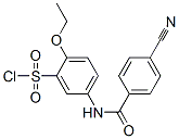 5-(4-Cyano-benzoylamino)-2-ethoxy-benzenesulfonyl chloride Structure,680618-02-4Structure