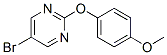 5-Bromo-2-(4-methoxyphenoxy)pyrimidine Structure,69033-87-0Structure