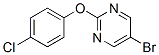 5-Bromo-2-(4-chlorophenoxy)pyrimidine Structure,887430-82-2Structure