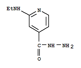 4-Pyridinecarboxylicacid,2-(ethylamino)-,hydrazide(9ci) Structure,77314-47-7Structure