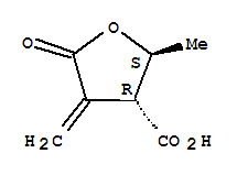 3-Furancarboxylicacid,tetrahydro-2-methyl-4-methylene-5-oxo-,(2r,3s)-rel-(9ci) Structure,778649-16-4Structure