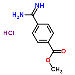 4-Amidinobenzoic acid methyl ester hydrochloride Structure,42823-73-4Structure