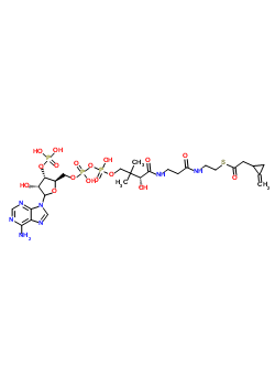 Coenzyme a s-(2-methylenecyclopropaneacetate) Structure,56898-43-2Structure